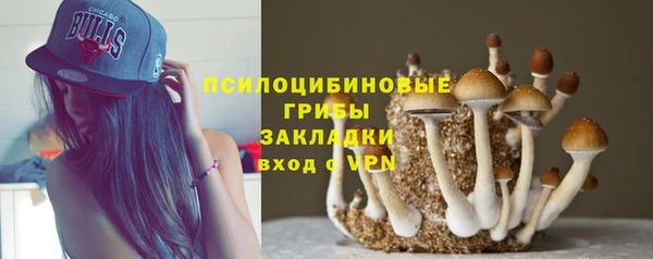 синтетический гашиш Каменногорск