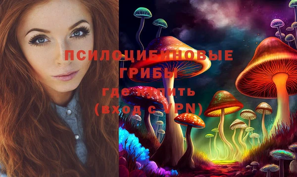синтетический гашиш Каменногорск