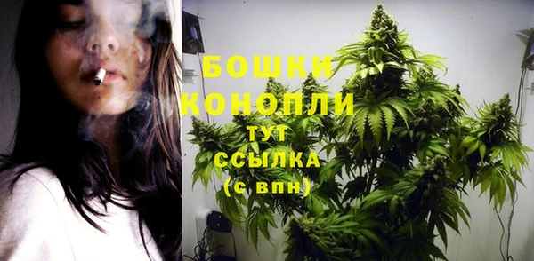 ГАЛЛЮЦИНОГЕННЫЕ ГРИБЫ Касимов