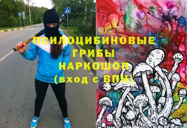 COCAINE Каменка